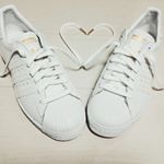 13267379_480703005457758_65648832_a