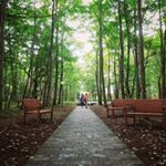 13248816_1707751659481562_1450621118_a