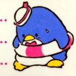 12558680_1241447865871054_521984001_a