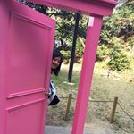 12904994_561265500723063_1870037457_a