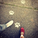 11203382_1588418768100433_2122686849_a