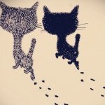 11375227_894341417300587_741116488_a