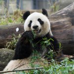 10945282_989047931110265_1476723857_a