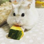 13108494_244416869247454_1813961990_a