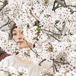 13249672_876441895799742_812137417_a