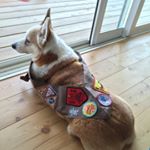 13181548_1703798026562199_1103551168_a