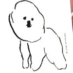 12930729_216474438732641_880671481_a