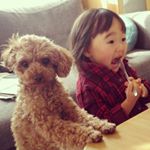 13118235_232281120480450_1931065526_a