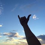 11376387_965659826833495_2118924899_a