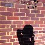 13166697_1174594225893542_1394938730_a