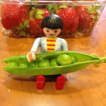 10950344_768585499901044_1234223367_a