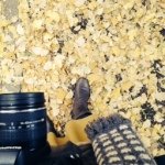 11850209_1654328701509689_1495099807_a