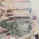 13256843_1075146072546014_196043282_a