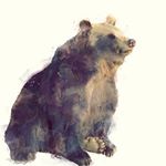 12728706_1110802848943325_965188374_a