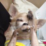 1530756_917674811621877_503063659_a