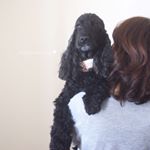 13267588_1538526503123543_764018934_a