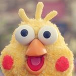 12797670_196560170709959_657120681_a