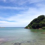 10735121_1490856927866528_1428702834_a