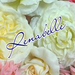 12716848_499792693557695_561836827_a