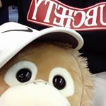 13259488_254732768251065_1641359415_a