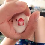 11821253_978595968859901_120491908_a