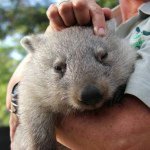 10881848_410636175767026_998108343_a