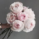 12935047_652307894907382_1254865440_a