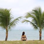 12826064_500826303441126_1250068205_a