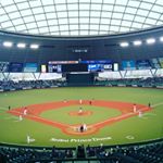 10616323_749571798477311_223523343_a