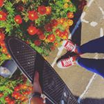 12142671_1642141749398396_42383255_a