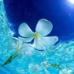 11899593_937390662973471_1182437366_a