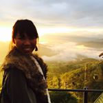 12568174_1673118499615241_1181371778_a