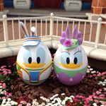 12930825_1056414887734805_1258107709_a