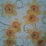 12105022_644288265710265_2031680676_a