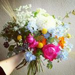 13150960_1015998815102674_630409330_a