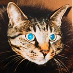 12424856_212068152468441_1595105002_a