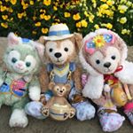 13151125_119314481810644_1069338088_a