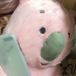 13109088_466807590195801_22785607_a