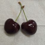 12353992_1672913469629254_1468473442_a