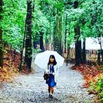 13166707_122026731542391_2041233750_a