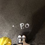 13181371_895678067226254_94909908_a