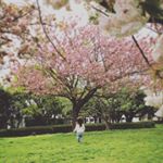 12976578_228493230842918_173204407_a