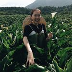 13181325_466659376875096_1346037840_a