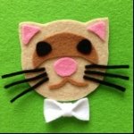 10453888_1496015013943607_1544674193_a