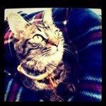 11821090_870498176332520_609003802_a