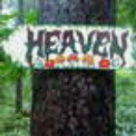 11820463_1514178815539080_1547986912_a