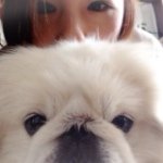 11296925_1619579861613385_1287690337_a