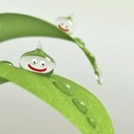 11821288_1602648379993831_240354698_a