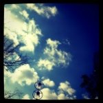 11850067_725192874293273_807564503_a