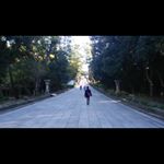 12783360_1264162513597345_460427767_a